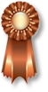 Bronzový výkonnostní odznak - drezura